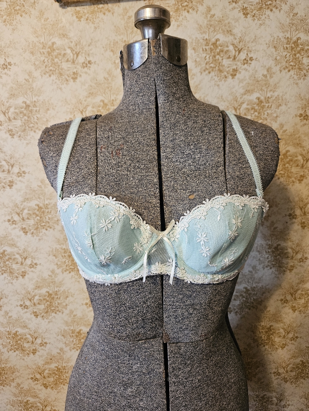 Ascension Mint And Cream Bra